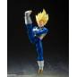 Dragon Ball Z - S.H. Figuarts - Super Saiyan Vegeta (Awakened Super Saiyan Blood)