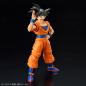 Dragon Ball Figure-rise Standard Son Goku (NEW SPEC Ver.)