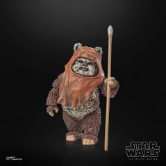 Star Wars Return of the Jedi 40th Anniversary Black Series - Wicket Hasbro - 6