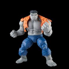 Marvel Legends Avengers - Gray Hulk & Dr. Bruce Banner Hasbro - 2