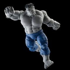 Marvel Legends Avengers - Gray Hulk & Dr. Bruce Banner Hasbro - 6