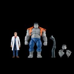 Marvel Legends Avengers - Gray Hulk & Dr. Bruce Banner Hasbro - 10