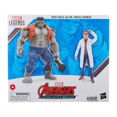 Marvel Legends Avengers - Gray Hulk & Dr. Bruce Banner Hasbro - 11