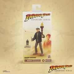 Indiana Jones Adventure Series - Short Round - El templo maldito Hasbro - 5