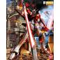 Gundam - MG - ZGMF-X56S/β Sword Impulse Gundam 1/100