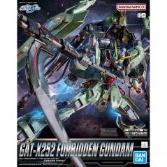 Gundam - FM - GAT-X252 Forbidden Gundam 1/100 Bandai - 1