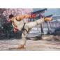 Street Fighter - S.H. Figuarts - Ryu (Outfit 2)