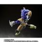 Dragon Ball Z - S.H. Figuarts - Kyewi