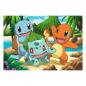 Pokémon Puzzle para niños Pikachu & Friends (2 x 24 piezas)