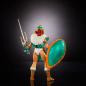 MOTU x TMNT: Turtles of Grayskull Teela