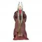 Star Wars The Clone Wars Black Series - Shaak Ti