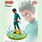 Naruto Memorable Saga Rock Lee