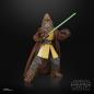 Star Wars The Acolyte Black Series - Jedi Master Kelnacca