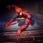 Marvel Legends Maximum Series - Spider-Man