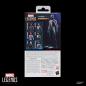 Marvel Legends Series Spider-Man 2 - Peter Parker (Anti-Venom Suit Style)