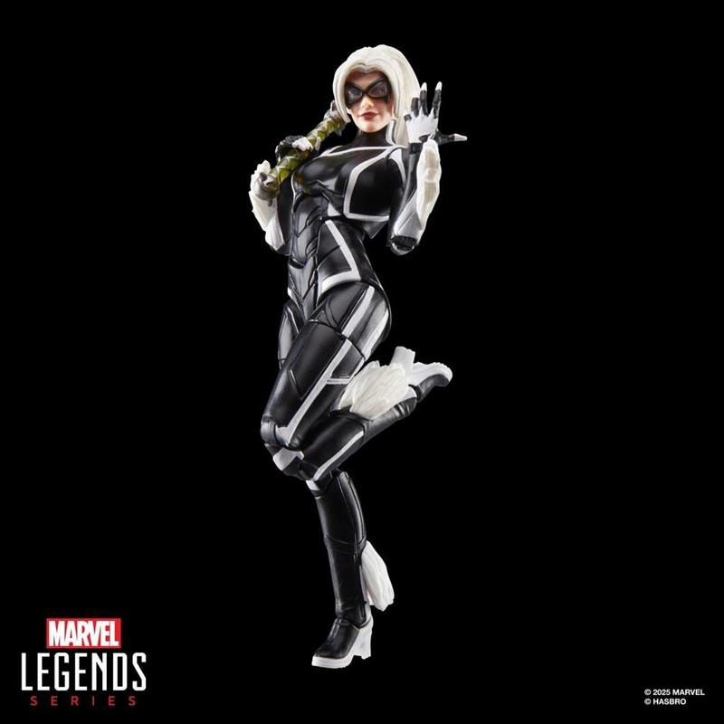 Marvel Legends Series Spider-Man 2 - Felicia Hardy (Black Cat)