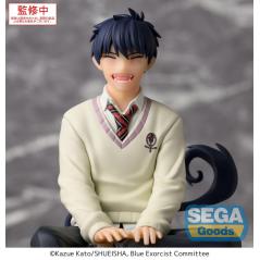 Blue Exorcist PM Perching Rin Okumura Sega - 6