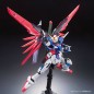 Gundam - RG - 11 - ZGMF-X42S Destiny Gundam 1/144