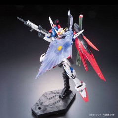 Gundam - RG - 11 - ZGMF-X42S Destiny Gundam 1/144 Bandai - 7