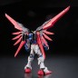 Gundam - RG - 11 - ZGMF-X42S Destiny Gundam 1/144